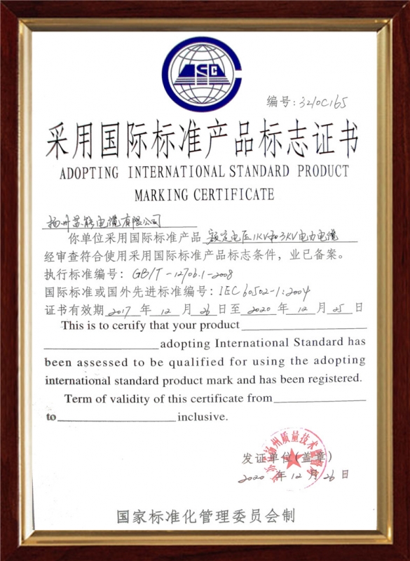 采用國際標準產品標志證書